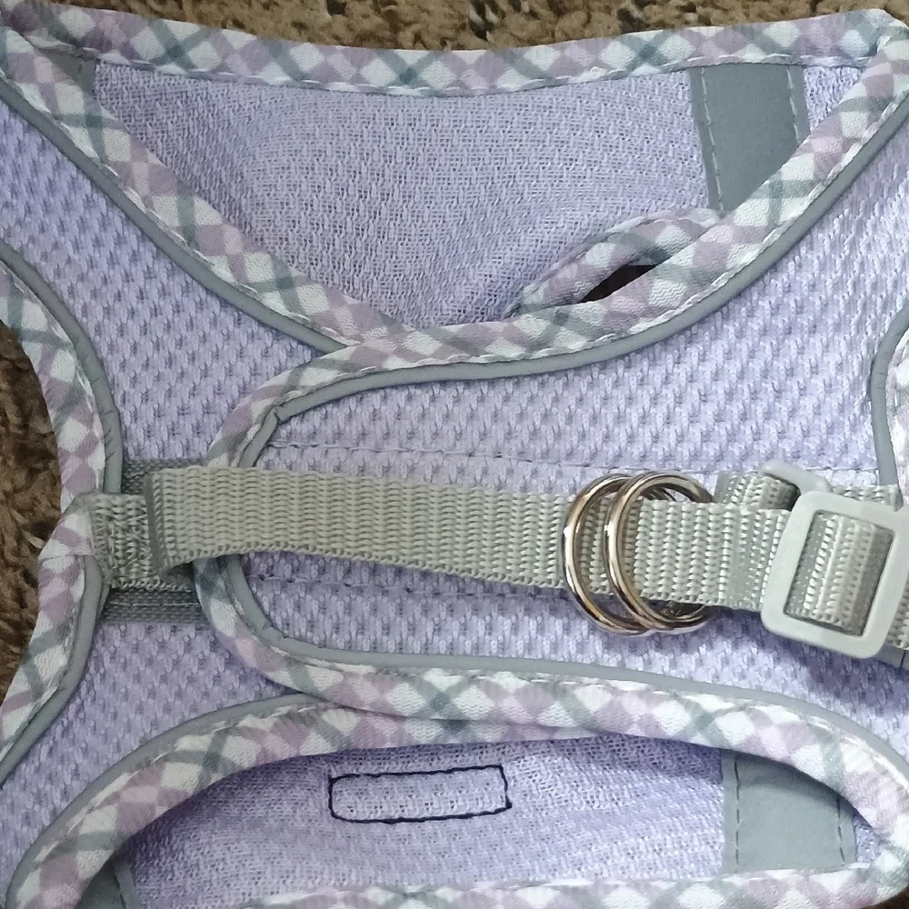 Purple Small Pet Harness